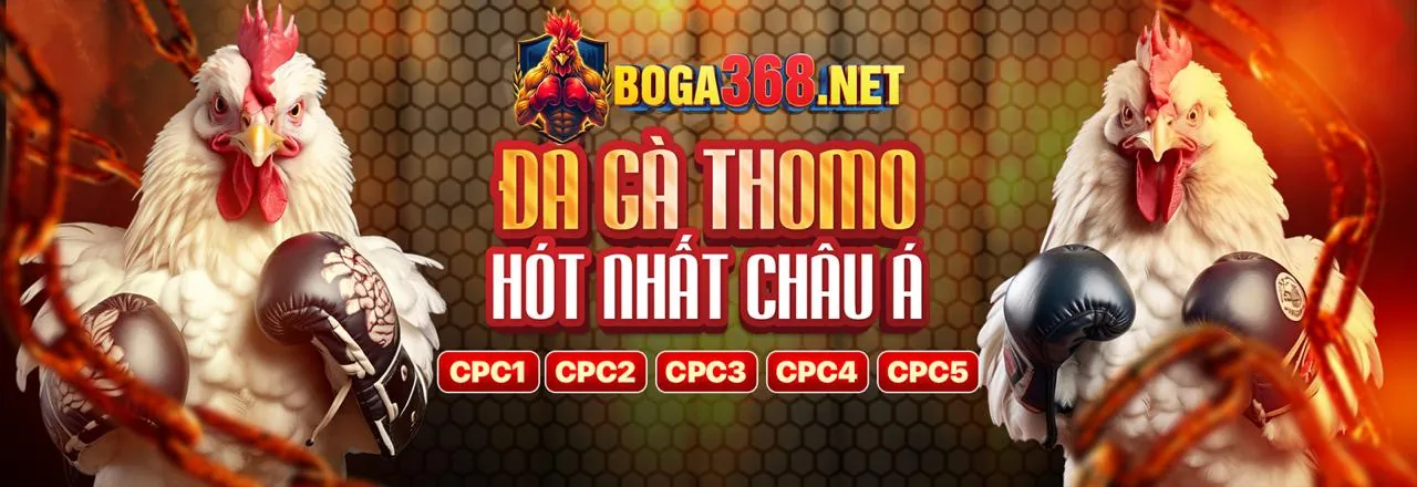AI và Học Máy trong cá cược