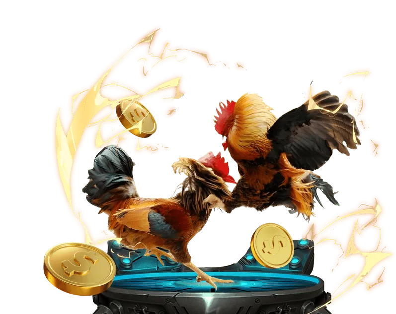 Giấy phép và An toàn